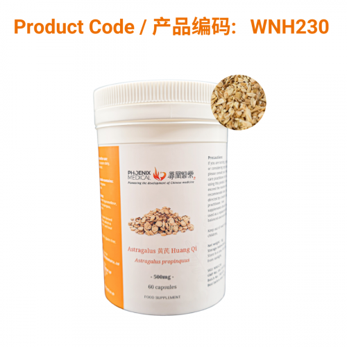 Huang Qi Capsules (60 caps)-黄芪胶囊-60粒