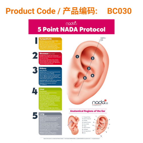 New NADA GB Five Point Protocol Poster A2 and A4 Bundle</br>NADA五点协议新款海报套装(A2与A4尺寸)