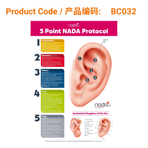 New NADA GB Five Point Protocol Poster A4</br>NADA五点协议新款海报套装(A4尺寸)
