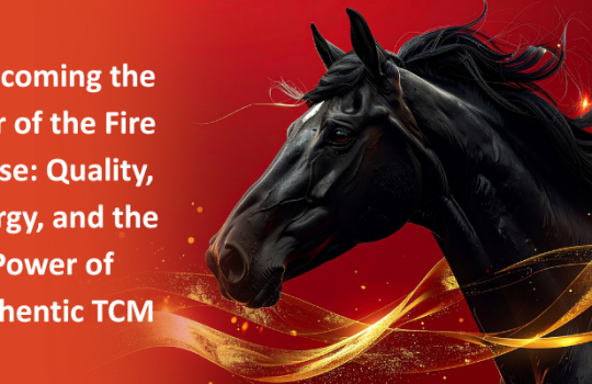Welcoming the Year of the Fire Horse